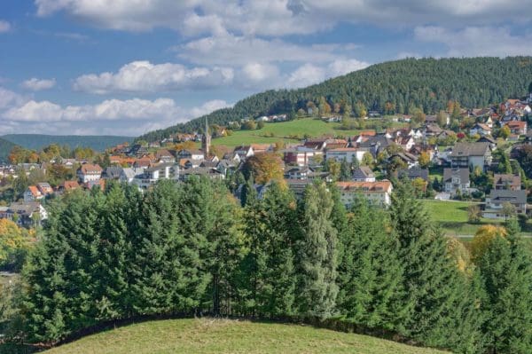 Dorf im Schwarzwald